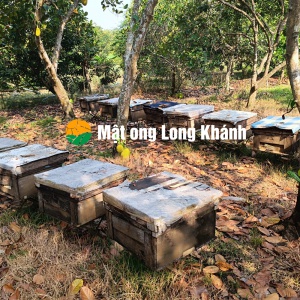 MẬT ONG LONG KHÁNH